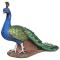 Regal Peacock Statue Medium