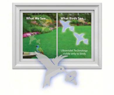 Hummingbird Window Alert Decal (4 per package)