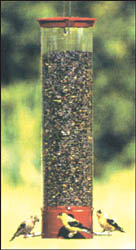 ycpd90.jpg